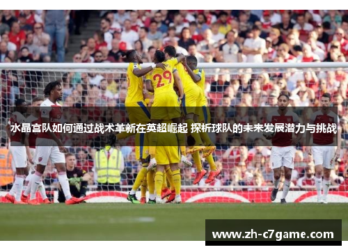 水晶宫队如何通过战术革新在英超崛起 探析球队的未来发展潜力与挑战 水晶宫队如何通过战术革新在英超崛起 探析球队的未来发展潜力与挑战