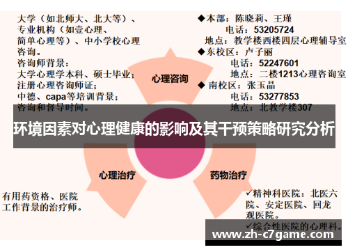 环境因素对心理健康的影响及其干预策略研究分析 环境因素对心理健康的影响及其干预策略研究分析