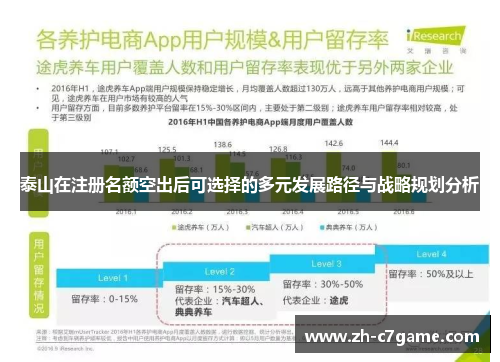 泰山在注册名额空出后可选择的多元发展路径与战略规划分析