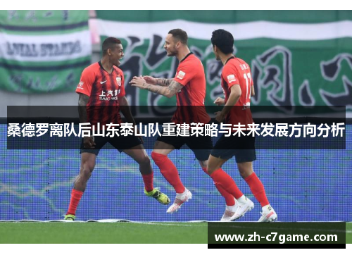 桑德罗离队后山东泰山队重建策略与未来发展方向分析