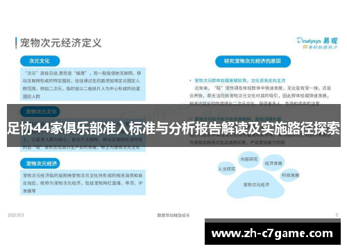 足协44家俱乐部准入标准与分析报告解读及实施路径探索