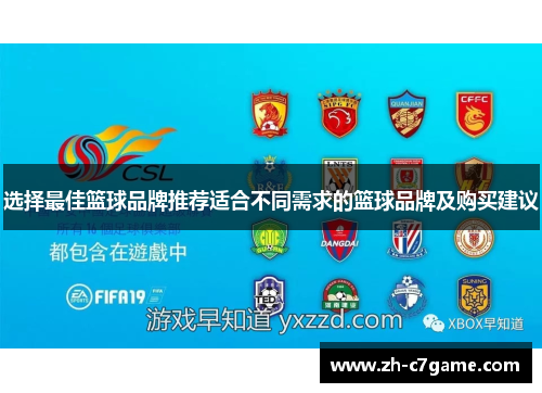 选择最佳篮球品牌推荐适合不同需求的篮球品牌及购买建议