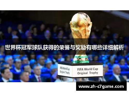 世界杯冠军球队获得的荣誉与奖励有哪些详细解析 世界杯冠军球队获得的荣誉与奖励有哪些详细解析