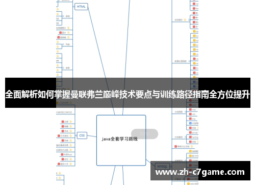全面解析如何掌握曼联弗兰巅峰技术要点与训练路径指南全方位提升