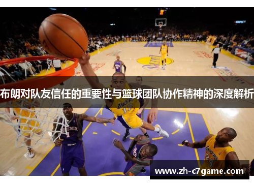布朗对队友信任的重要性与篮球团队协作精神的深度解析